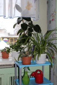 Изображение Изображение